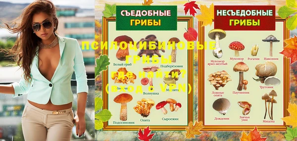 mdpv Белокуриха